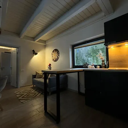 River Rest Apartment
