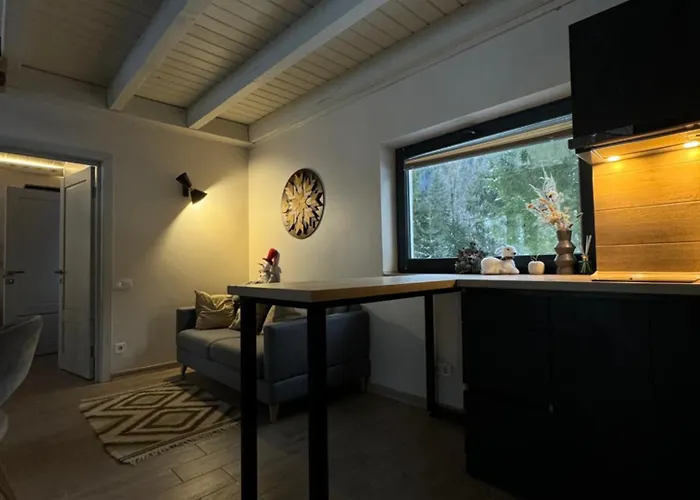 River Rest Apartment
